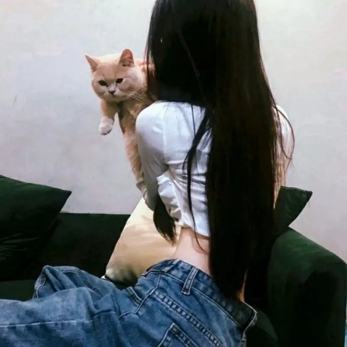 老千大阴谋