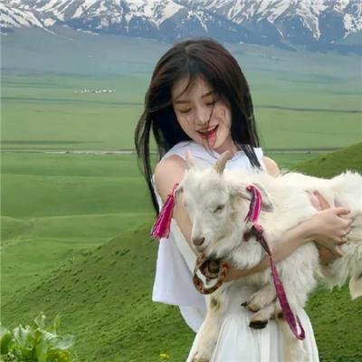 玩命快递:肆意横行
